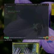 Learning Rust Programming Unit Type Challenge 1 ASMR Coding