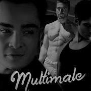 Multimale Mutibadass