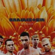 Rammstein Weisses Fleisch HQ