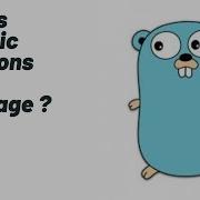 What Is Variadic Functions Golang Tutorial