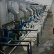 Taifun Vegetable Processing Avi