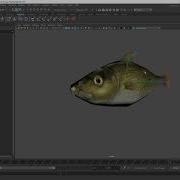 How To Rigging Fish Maya Tutorial Part 2