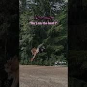 Combination Quadrobics Jump Athlete Sports Otherpaw Tiktok
