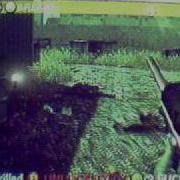 CoD 4 1v1 Qs TMG FREESTLYE