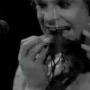 Ozzy Osbourne Bites The Head Of A Bat
