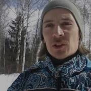 Загадки российских лесов или на Земле лесов нет