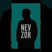 Nev Zor Nevzat