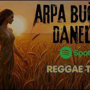 Arpa Buğday Daneler Reggae Tayfa Covertürküler AnadoluReggae