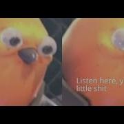 2020 MEMES COMPILATIONS LISTEN HERE YOU LITTLE SHIT