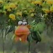 Classic Sesame Street Inch Worm