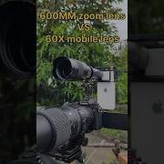 60X Zoom Lens Vs 600mm Zoom Lens Ultimate Comparison Test Shorts