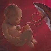 Stay Young Forever Regenerate Your Telomeres Cell Regeneration Music