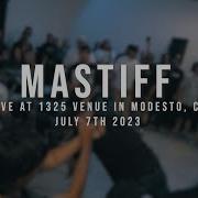 197 Media Mastiff 07 07 2023