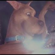 Stealing Scooby S Protoplasm And Absorbing The Others