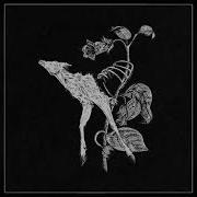 Suicide Forest World Of Decay Full Album