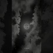 Adele Skyfall Let The Skyfall When It Crumbles Aesthetic Video Song Lyrics Adele Skyfall