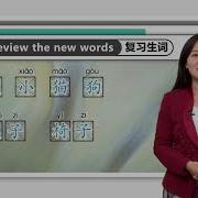 HSK Standard Course Level 1 Lesson 9