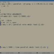 Part 2 GNU Parallel Script Processing And Execution