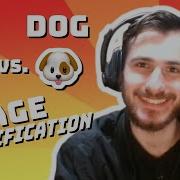 Cat Vs Dog Image Classification CNNs Data Every Day 207