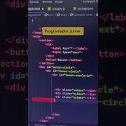 PROGRAMADOR JUNIOR Vs SENIOR