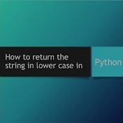 How To Return The String In Lower Case In Python