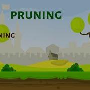 Pruning In Decision Trees