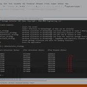 How IDisposable Dispose And Finalizers Work In C