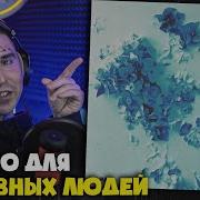 BAKR СИРЕНЬ Реакция и разбор от RapNews
