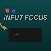 CSS Input Focus Animation Effect CSS Tutorials