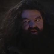 You Re A Wizard Harry Meme Earrape