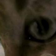 Dear God XTC Best Part Looped