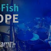 TripFish Море Live