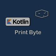 Print Byte Binary In Kotlin