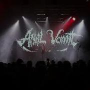 Anal Vomit Live In Bucharest 18 11 2023
