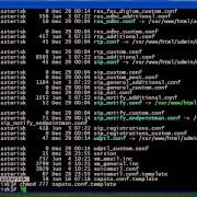Basic Linux Training From Xorcom Lesson 3 Navigation Keys