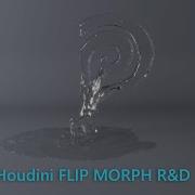 Houdini FLIP FLUID LIQUID MORPHING