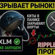 XRP ВЗРЫВАЕТ РЫНОК КИТЫ В ПАНИКЕ ЗАКРЫВАЮТ ШОРТЫ XLM ETF УЖЕ ЗАПУЩЕН RIPPLE 2026 ПРОГНОЗ