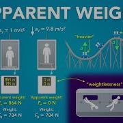 Apparent Weight Normal Force And Scales In An Elevator Physics Forces Newton S Laws