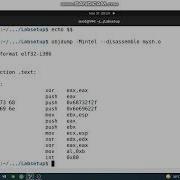 Shellcode Seed Lab 1