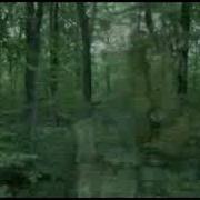Invisible FX Test Predator Halo Cloaking