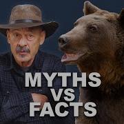 Eps 353 The BEST Bear Defense Options Myths Vs Facts