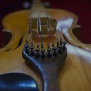 8 String Violin