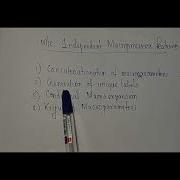 Machine Independent Macroprocessor Features