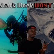 Why The World Without Sharks Might Be Your Biggest Nightmare