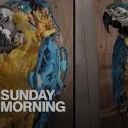 Creating Art From Trash