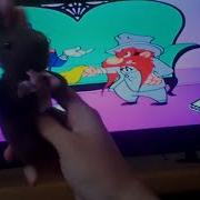 Hybrid Tunes Hare Trimmed