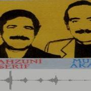 Mahzuni Şerif Muhlis Akarsu Boşumuş İki Saz İki Söz Şah Plak
