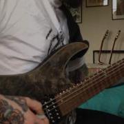 Wretched Fetal Consumption Guitar Cover
