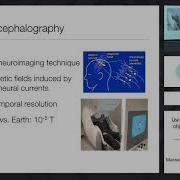 Using Neural Decoding To Study Object And Action Recognition In The Human Brain