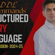Язык структурированных запросов SQL DDL 12 класс информатика с Python Учебный год 2024 2025